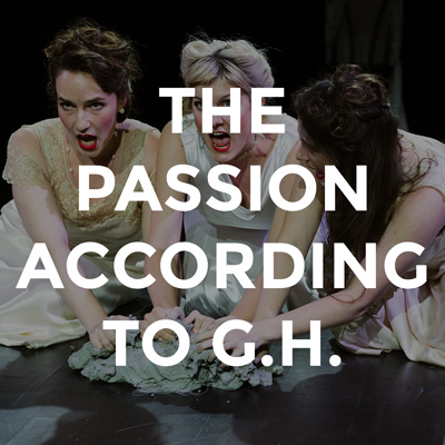 The Passion According to G.H. image